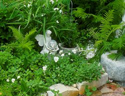 Moon Garden Statues, Gazing Ball In Garden
Garden Design
Calimesa, CA