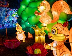 Moonlight Forest
Garden Design
Calimesa, CA