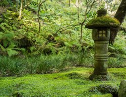 Moss Covered Statue In Japanese Garden
Shutterstock.com
New York, NY