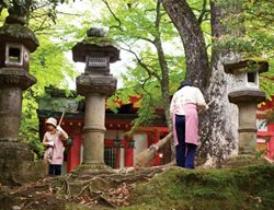 Moss, Nara, Japan
Garden Design
Calimesa, CA