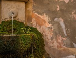 Moss, Wall Fountain
Garden Design
Calimesa, CA