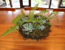 Moss Wreath
Garden Design
Calimesa, CA