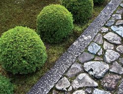 Mossy Path, Japan
Garden Design
Calimesa, CA