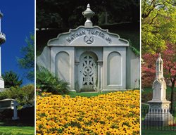 Mount Auburn
Garden Design
Calimesa, CA