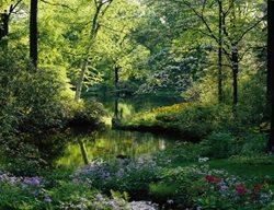 Mt Cuba Center
Garden Design
Calimesa, CA
