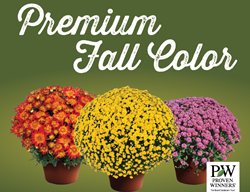 Mums Billboard
Proven Winners
Sycamore, IL