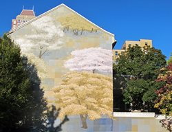 Mural At 13th And Pine Streets.
Garden Design
Calimesa, CA