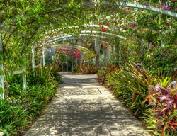 Naples Botanical Gardens, Tropical Garden, Covered Walkway
Garden Design
Calimesa, CA