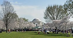 National Cherry Blossom Festival 
Garden Design
Calimesa, CA