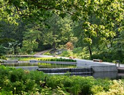 Native Plant Garden
Garden Design
Calimesa, CA