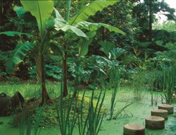 Native Wildflowers Of The Piedmont Region
Garden Design
Calimesa, CA