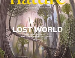 Nature Cover
Garden Design
Calimesa, CA