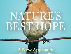 Nature's Best Hope Book
Garden Design
Calimesa, CA