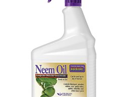 Neem Oil
Garden Design
Calimesa, CA