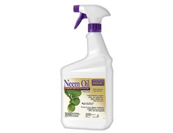 Neem Oil
Garden Design
Calimesa, CA