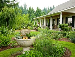 Neutral Palette Garden
Garden Design
Calimesa, CA