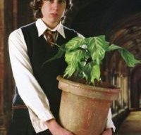 Neville
Garden Design
Calimesa, CA