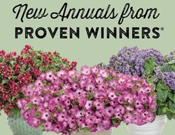 New Annuals
Proven Winners
Sycamore, IL