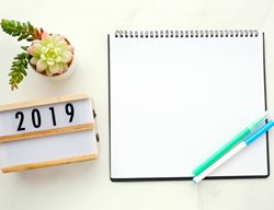 New Years Resolution, 2019
Shutterstock.com
New York, NY