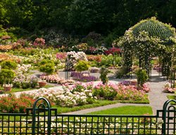 New York Botanical Garden
Garden Design
Calimesa, CA