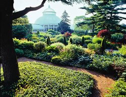 New York Botanical Garden, Nybg, Perennials
Lynden Miller

