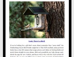 Newsletter Ad
Garden Design
Calimesa, CA