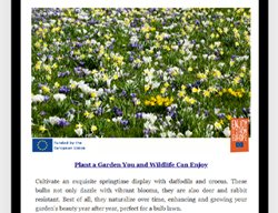 Newsletter Ad
Garden Design
Calimesa, CA