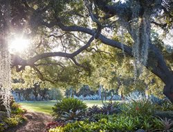 Ngoc Minh Ngo
Garden Design
Calimesa, CA