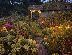 Night Patio Garden, Lights
Garden Design
Calimesa, CA