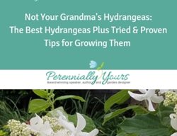 Not Your Grandma's Hydrangeas Course
Perennially Yours
PA