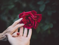 Nursing Home
Garden Design
Calimesa, CA