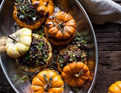 Nutty Wild Rice Recipe, Stuffed Pumpkins
Garden Design
Calimesa, CA