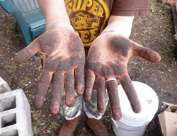 Nyc Red Hook, Gardening 
Garden Design
Calimesa, CA