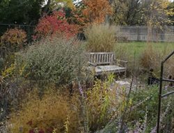 October Garden
Monarch Gardens
Lincoln, NE