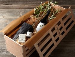  Olive Gift, Olive Oil, Olive Tree
Garden Design
Calimesa, CA