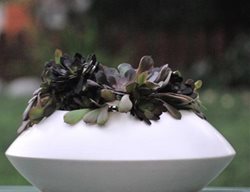 Orbit Table Blkechev
Garden Design
Calimesa, CA