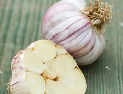 Order Garlic For Fall Planting
Garden Design
Calimesa, CA