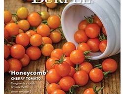 Order Plant Catalogs
Garden Design
Calimesa, CA