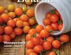 Order Seed & Plant Catalogs
Garden Design
Calimesa, CA