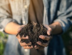 Organic Compost
Garden Design
Calimesa, CA