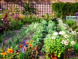 Organic Vegetable And Flower Garden, Organic Garden
Shutterstock.com
New York, NY