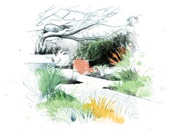 Ornamental Grasses Drawing
David Despau
