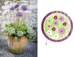 Ornamental Onion, Container Garden
Garden Design
Calimesa, CA