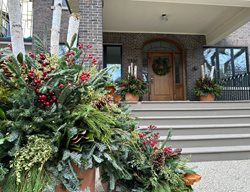 Outdoor Winter Container
Garden Design
Calimesa, CA