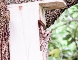 Owl Box
Garden Design
Calimesa, CA