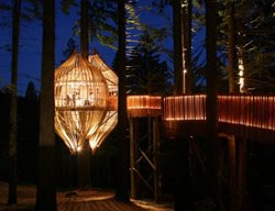 Pacific-Env-B-Glowing-Bright-Treehouse-Restaurant-In-Auckland
Garden Design
Calimesa, CA
