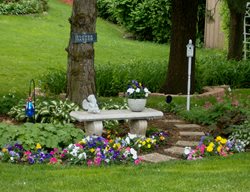 Pansies And Impatiens, Garden Bench
Garden Design
Calimesa, CA