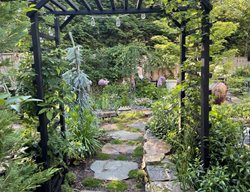 Pathway Arbor
Alli Guleria
Washington D.C., 