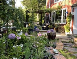 Pathway To Patio
Alli Guleria
Washington D.C., 