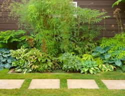 Pathway With Grass, Reduce Lawn
Garden Design
Calimesa, CA